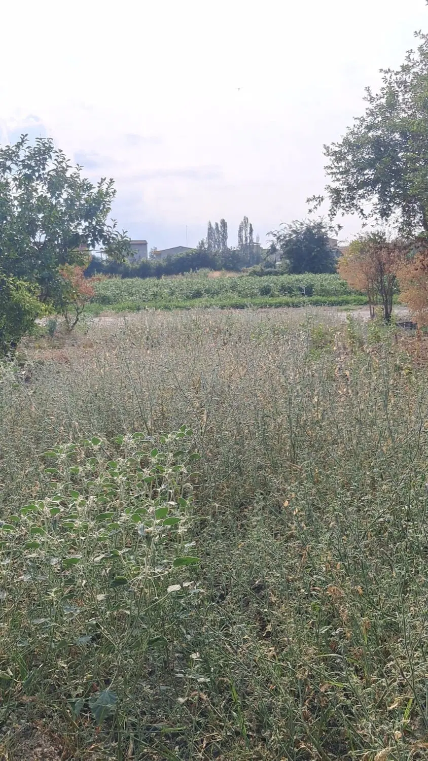 زمین ۲۰۰ متری نوکنده