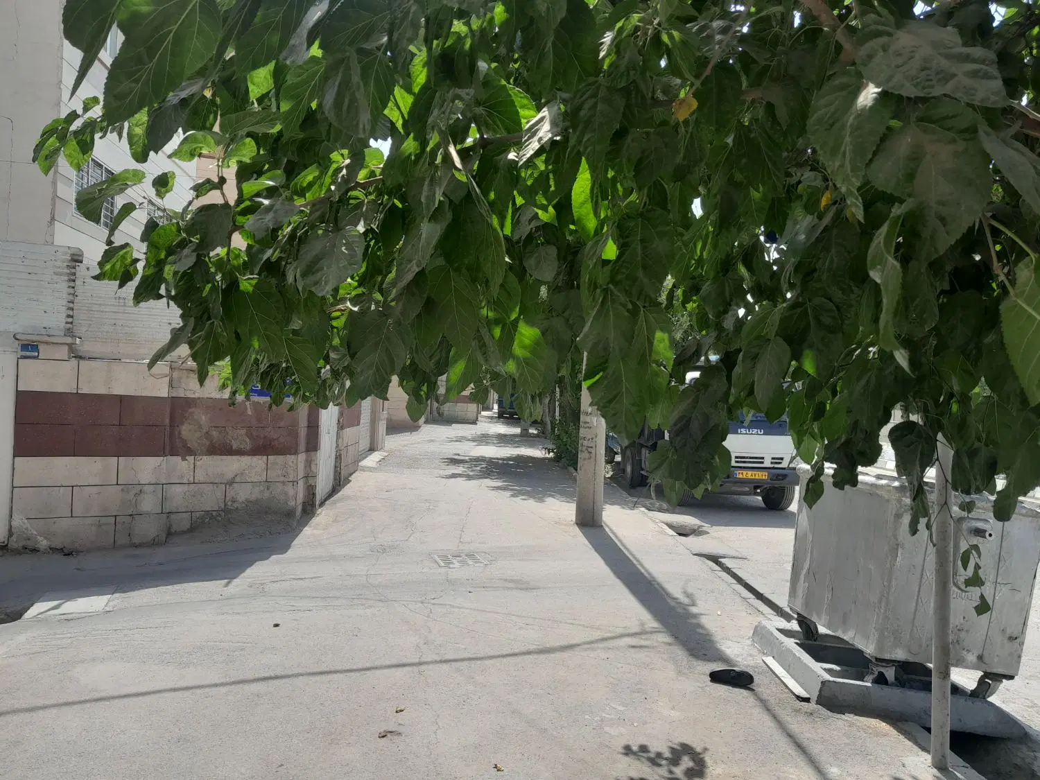 ۱۳۳مترکلنگی دونبش بر بلوار نیارکی