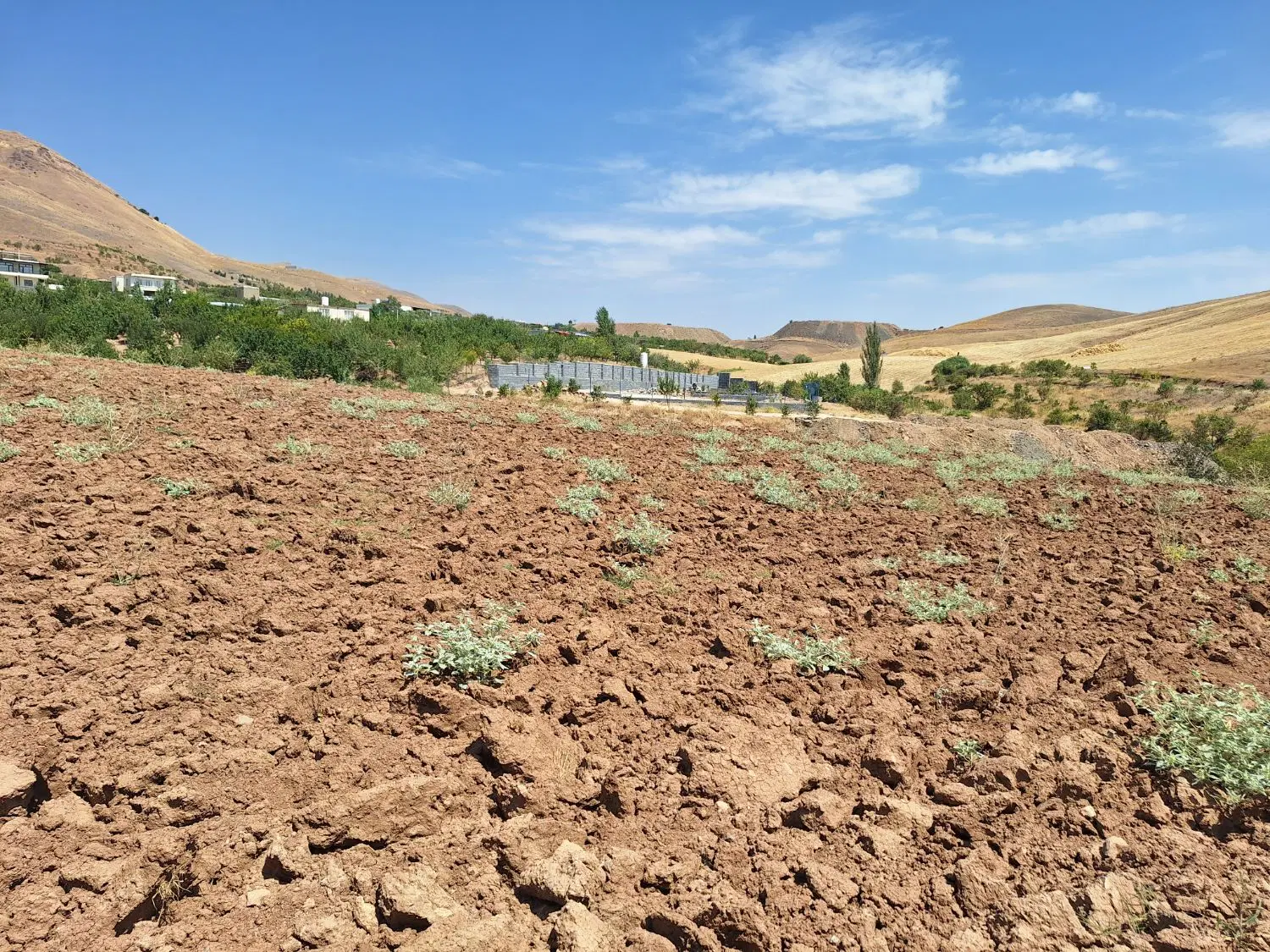 1500 متر زمین سند دار کشاورزی جاده حسن آباد