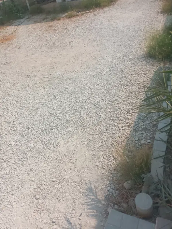 زمین واگذاری تامین اجتماعی