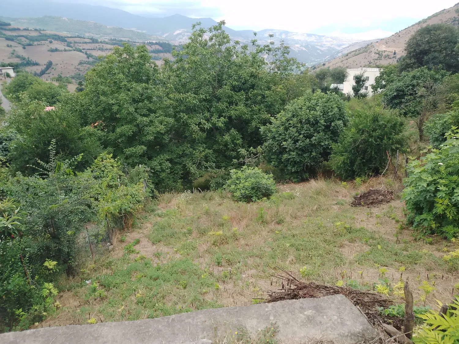 فروش قطه  زمین در روستای رشی خیابان شهید  رجایی