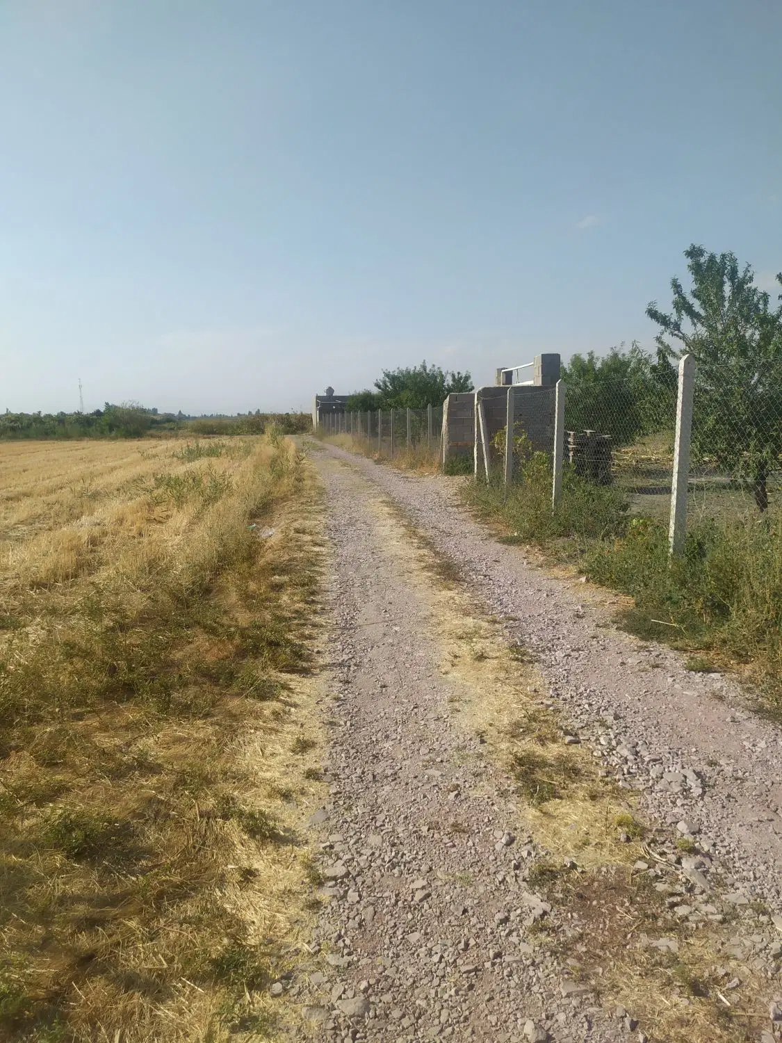 زمین کشاورزی1360متری واقع درجاده شورکند