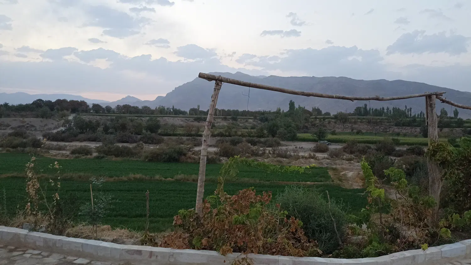 فروش باغ 3000 مترمربع دارای سند مالکیت