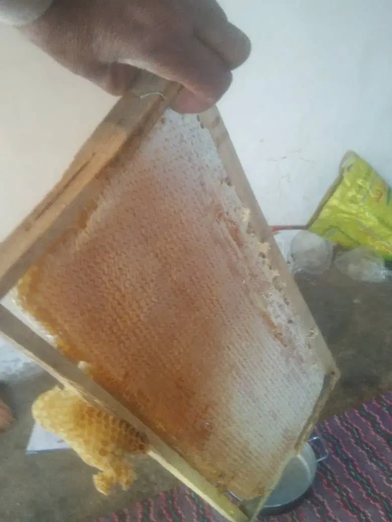 زمین ۳۷۰ متری بنسنجان فرعی ۱۲