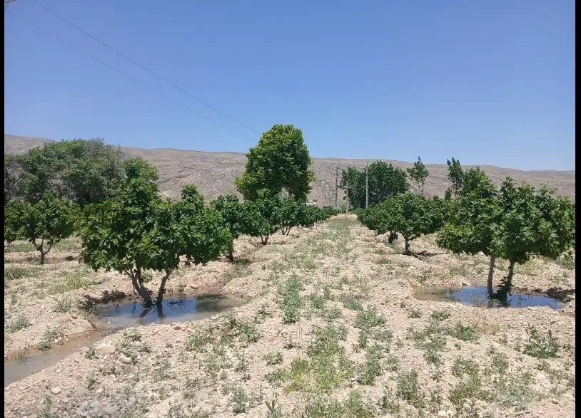 فروش باغ انجیر