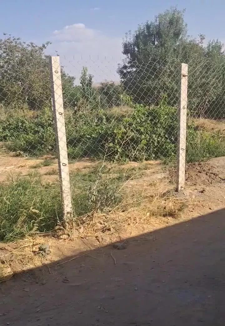 باغ و ویلاباغ