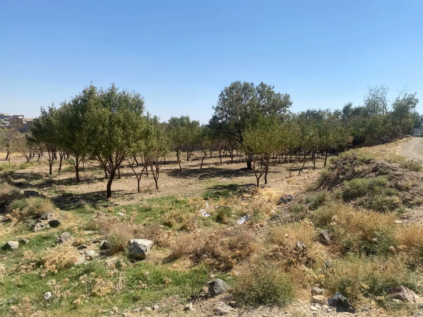 زمین با یک ساعت آب چاه موتور
