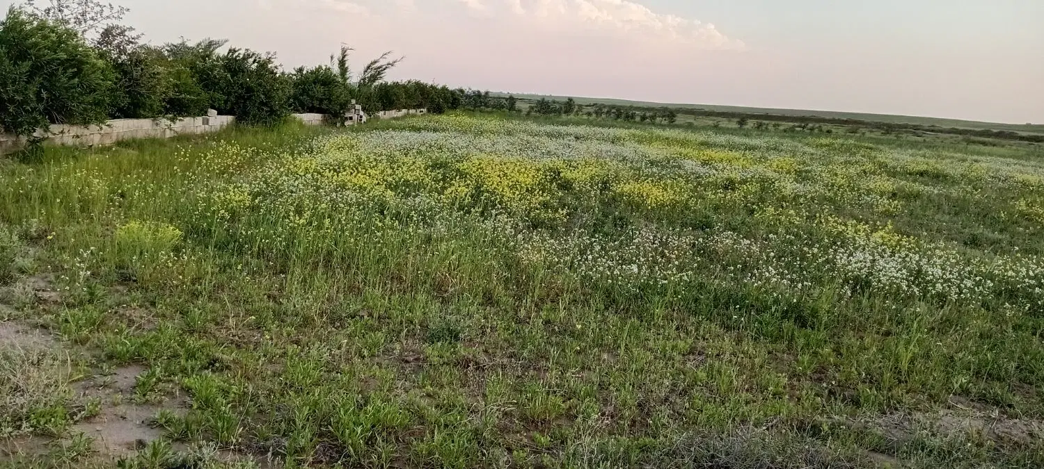 اجاره زمین کشاورزی