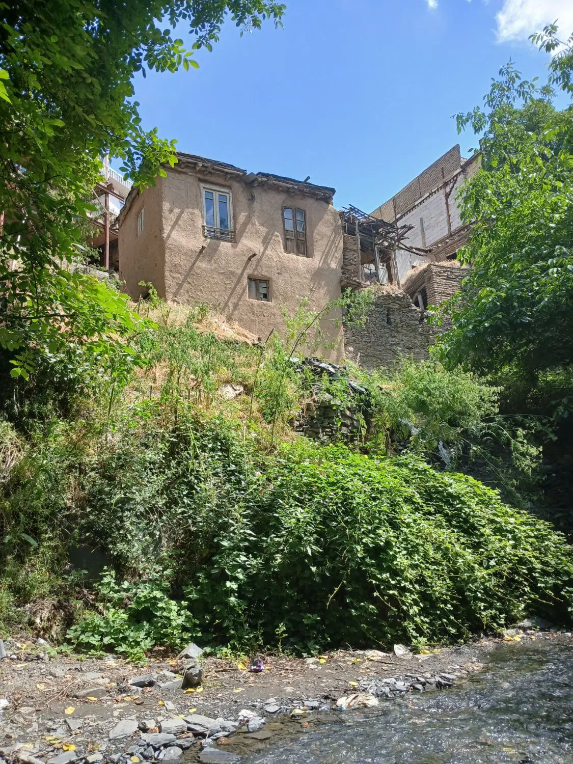 همخونه