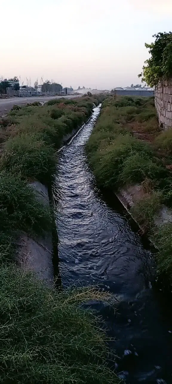 ۲۰۰۰متر زمین زراعی کشاورزی