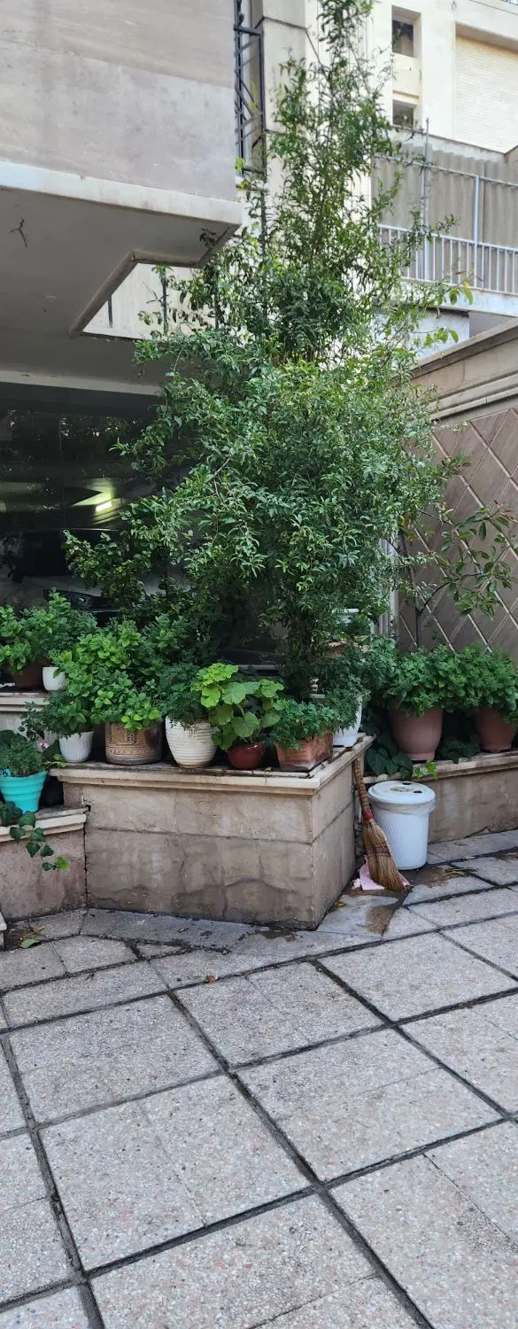 ۱۷۰ متر تاپ لوکیشن ناصر خسرو