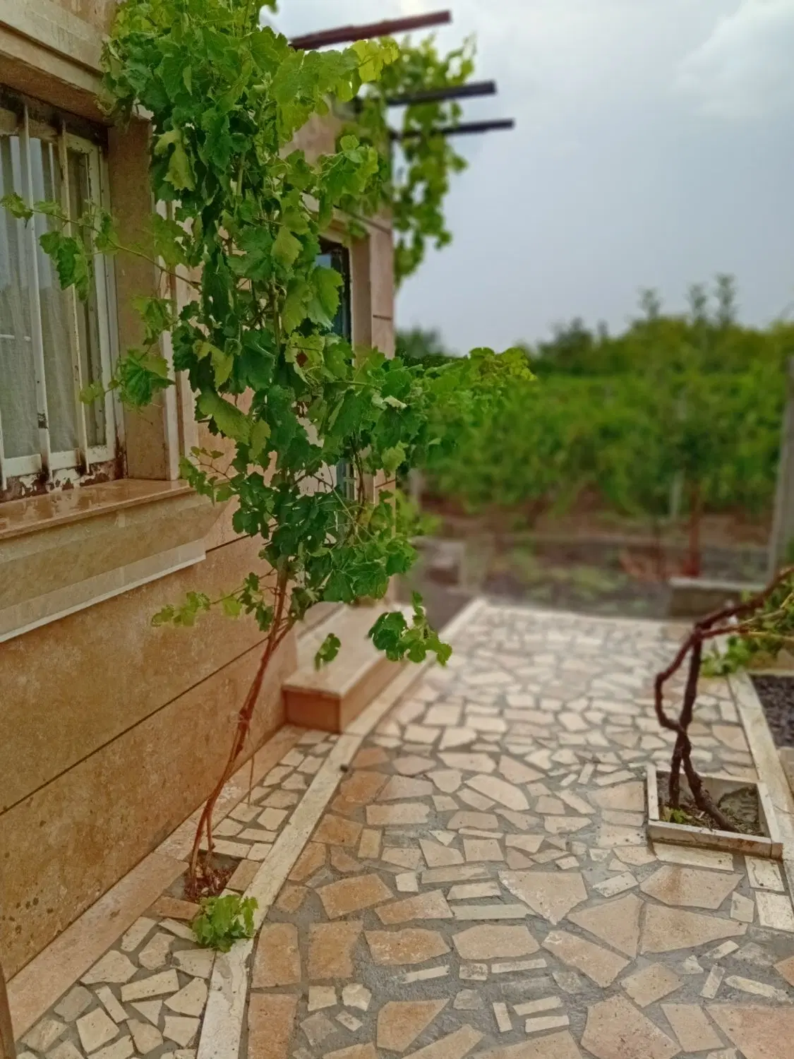 باغ،زمین،ویلا