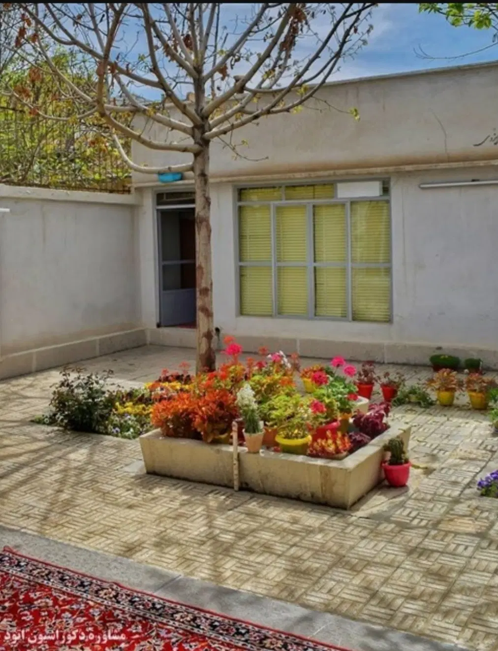 واحد ویلایی کاشف شرقی ۱۱