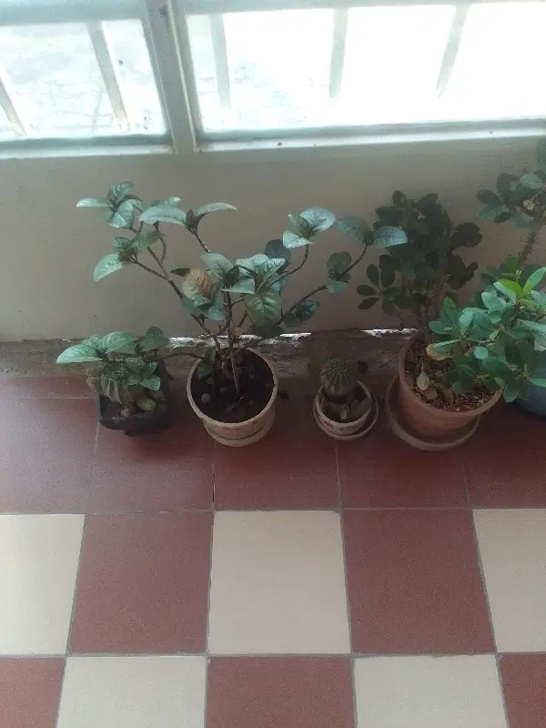 سه طبقه سخواب ۱۲۹متری یکجا گلشهر