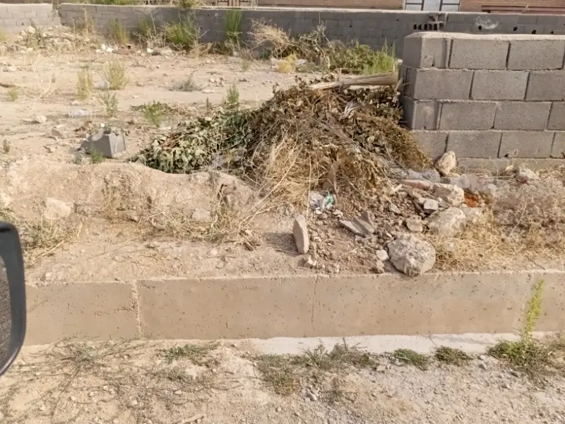 زمین