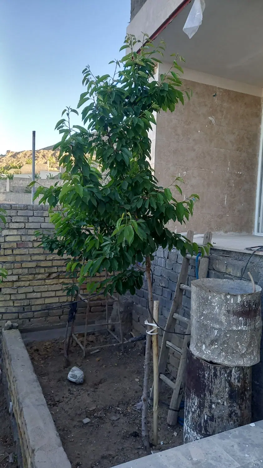 خانه فروشی  روستای فردو