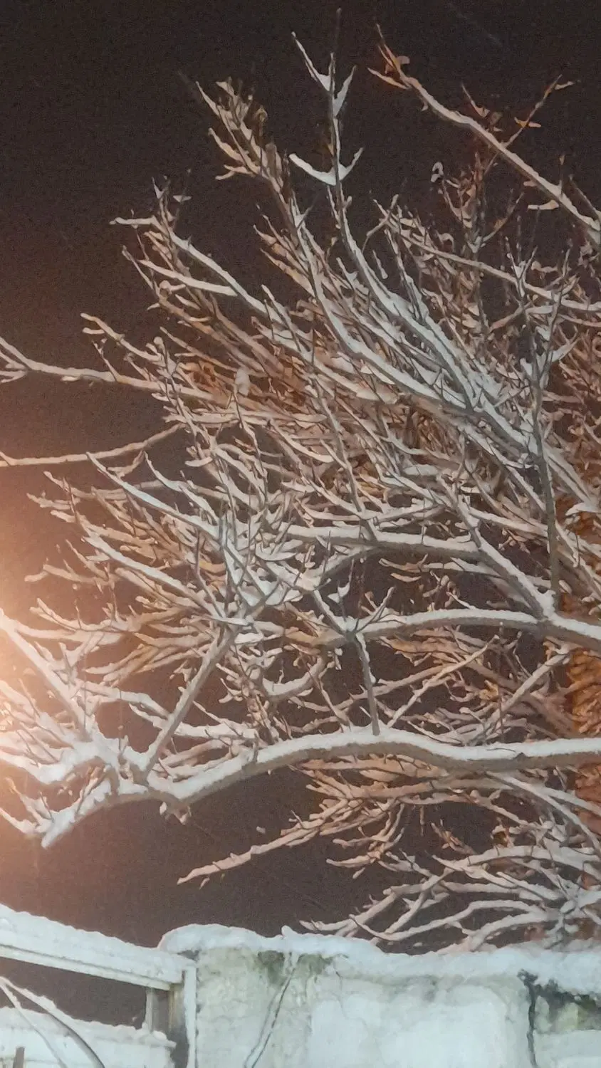فروش باغ در روستای بیدسرخ
