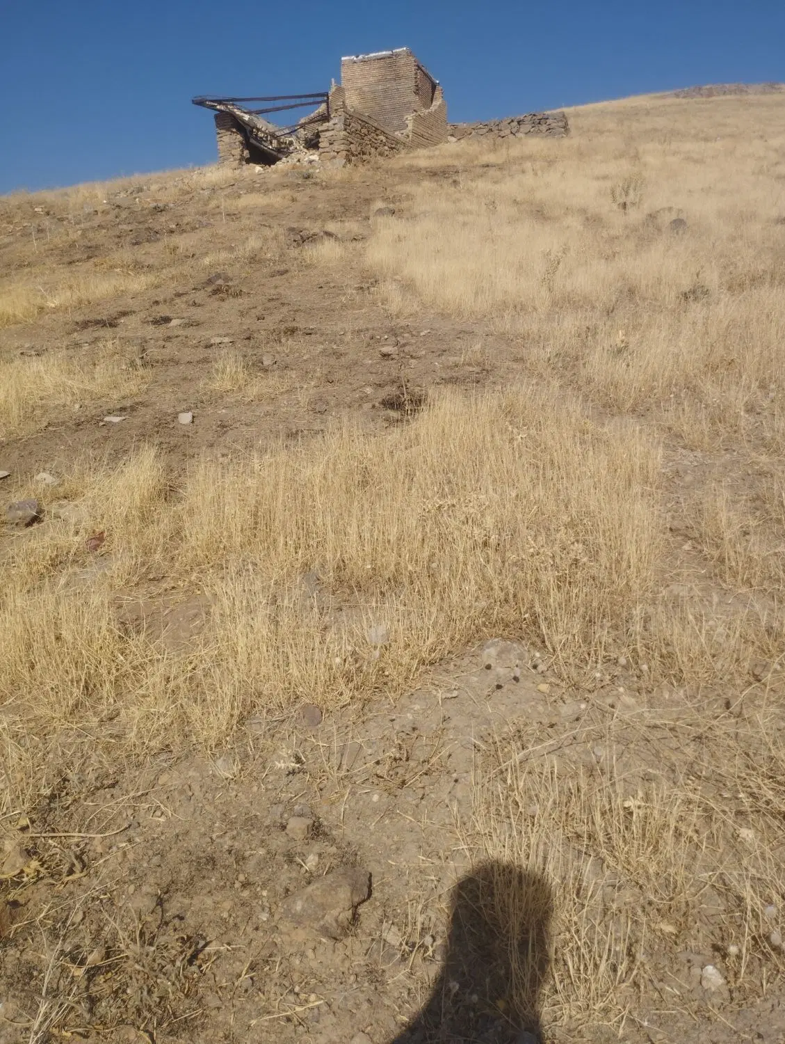زمین نایسر