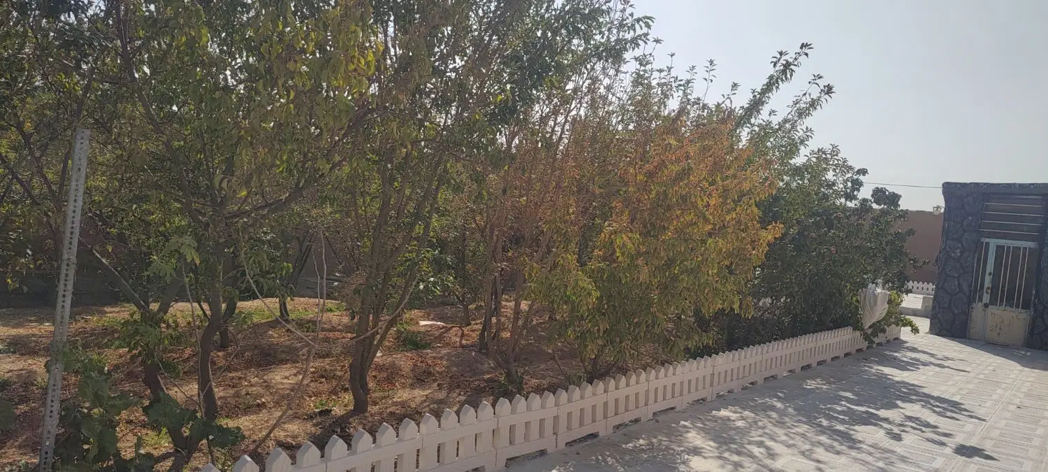 باغ نجف آباد