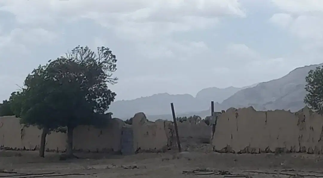 فروش باغ و زمین