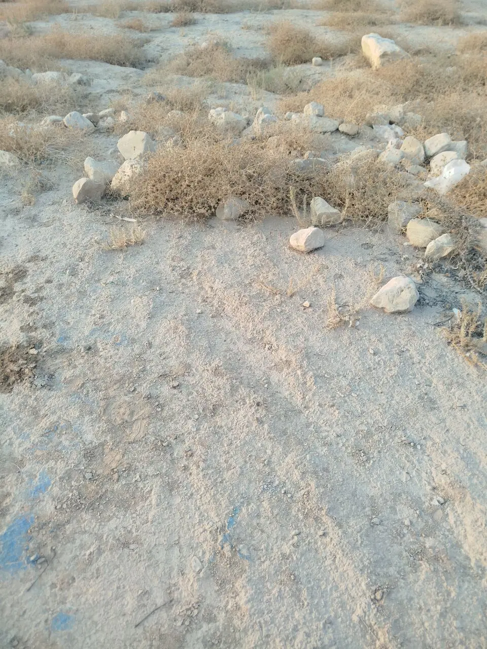 فروش زمین