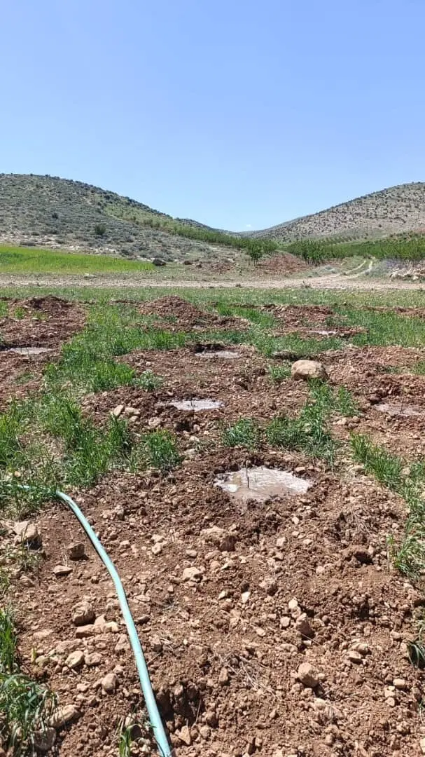۱۰۰۰ متر زمین  باغشهری در قلات