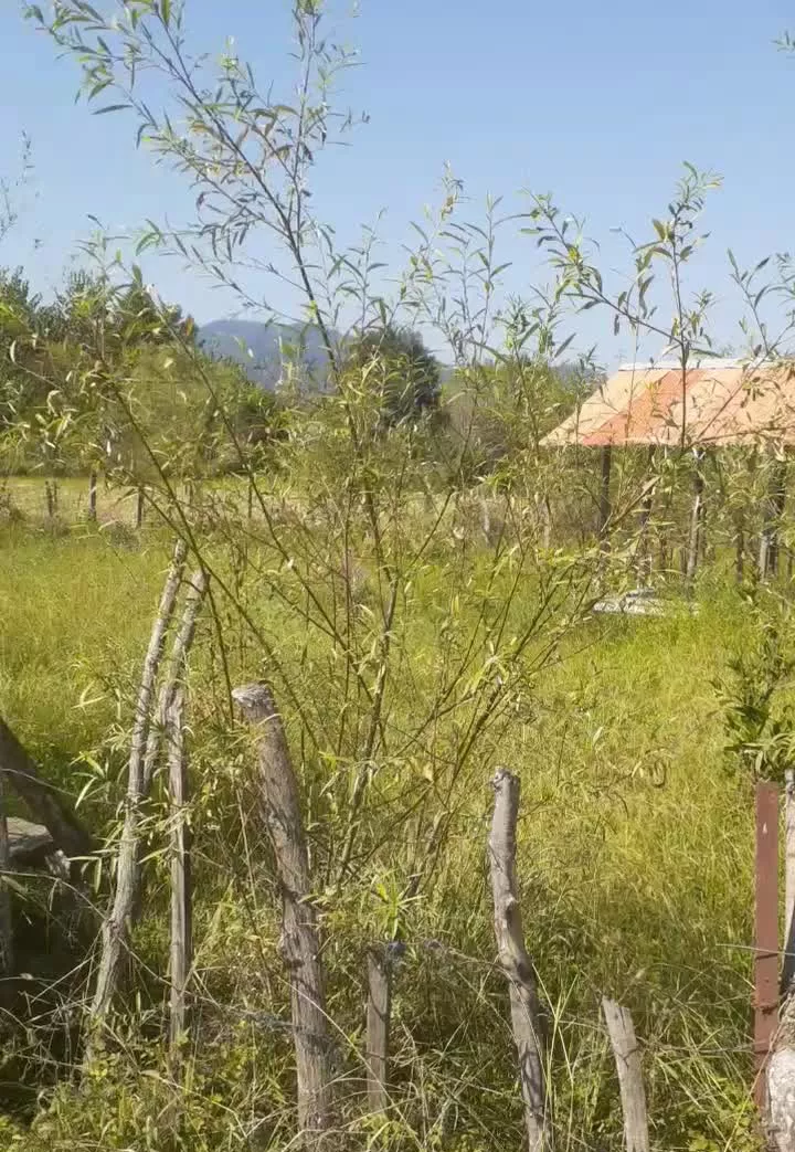 زمین ۴۷۰ متری در ماسال روستای زیبای وردوم