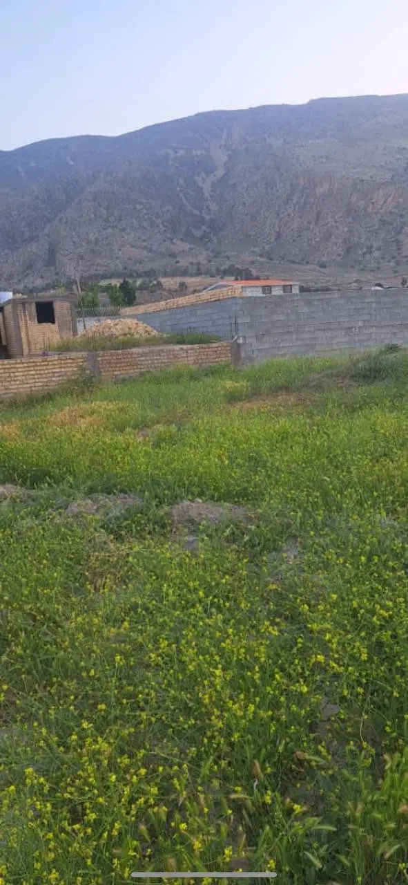 زمین معاوضه یا نقد