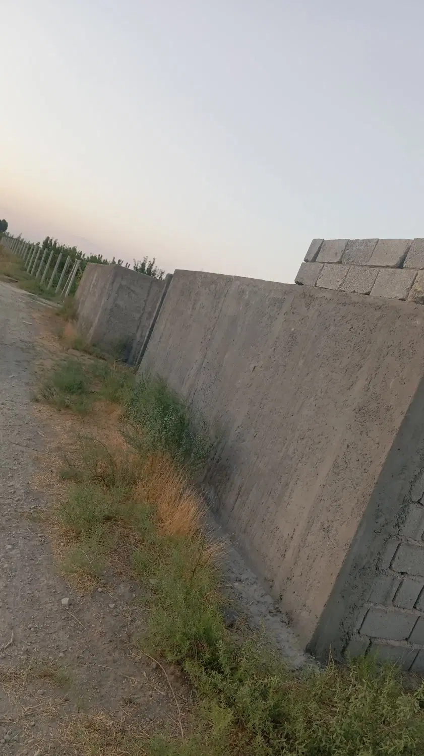باغچه الوان