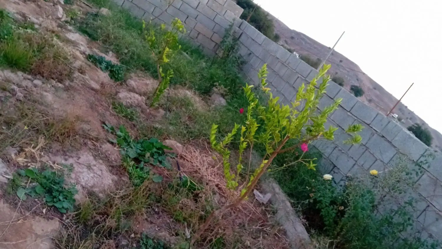 ۴۰۰متر باغ  واقع در روستایی نم نمی چم اسیاب