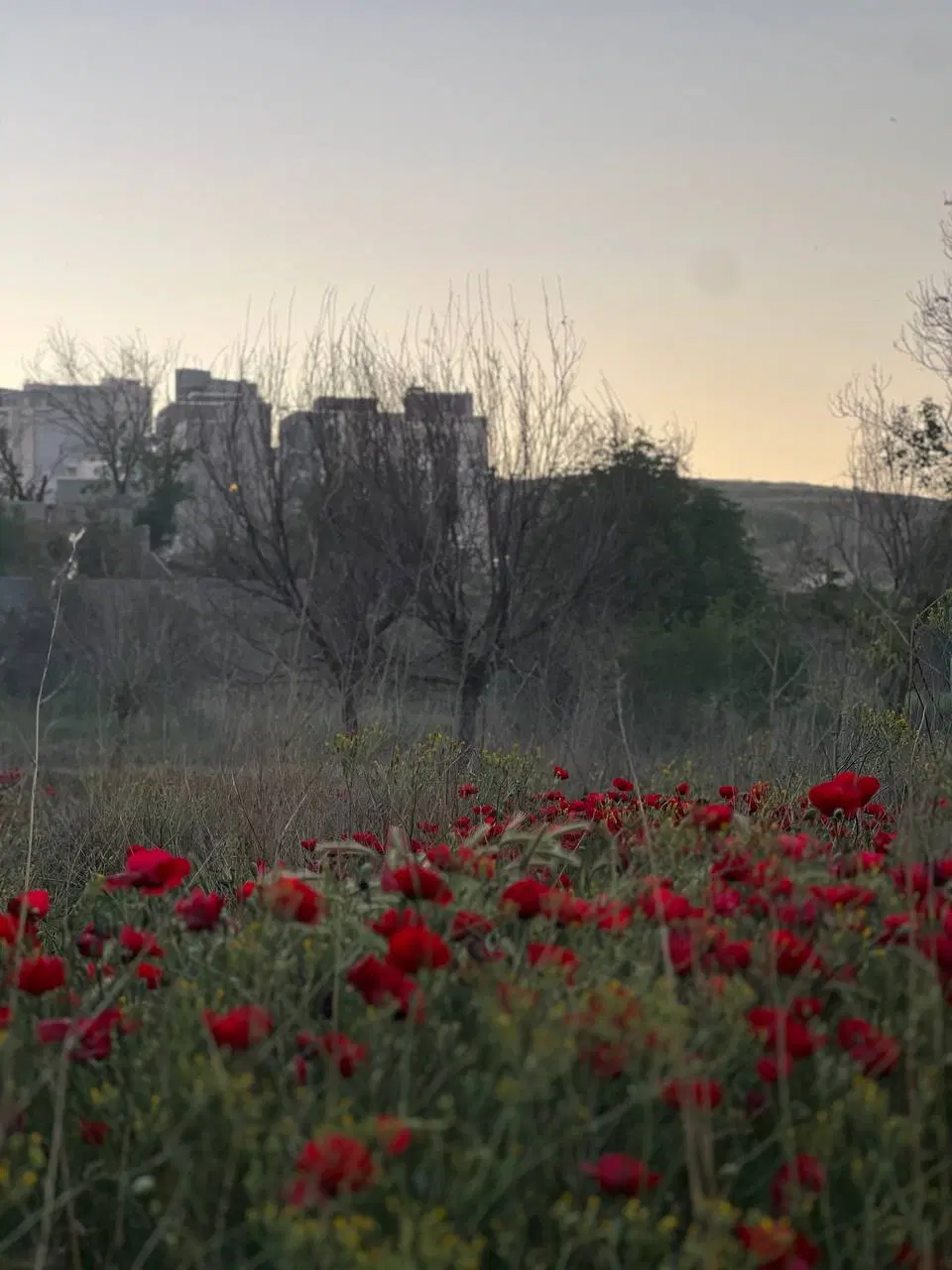 زمین موقعیت استثنایی داخل شهر