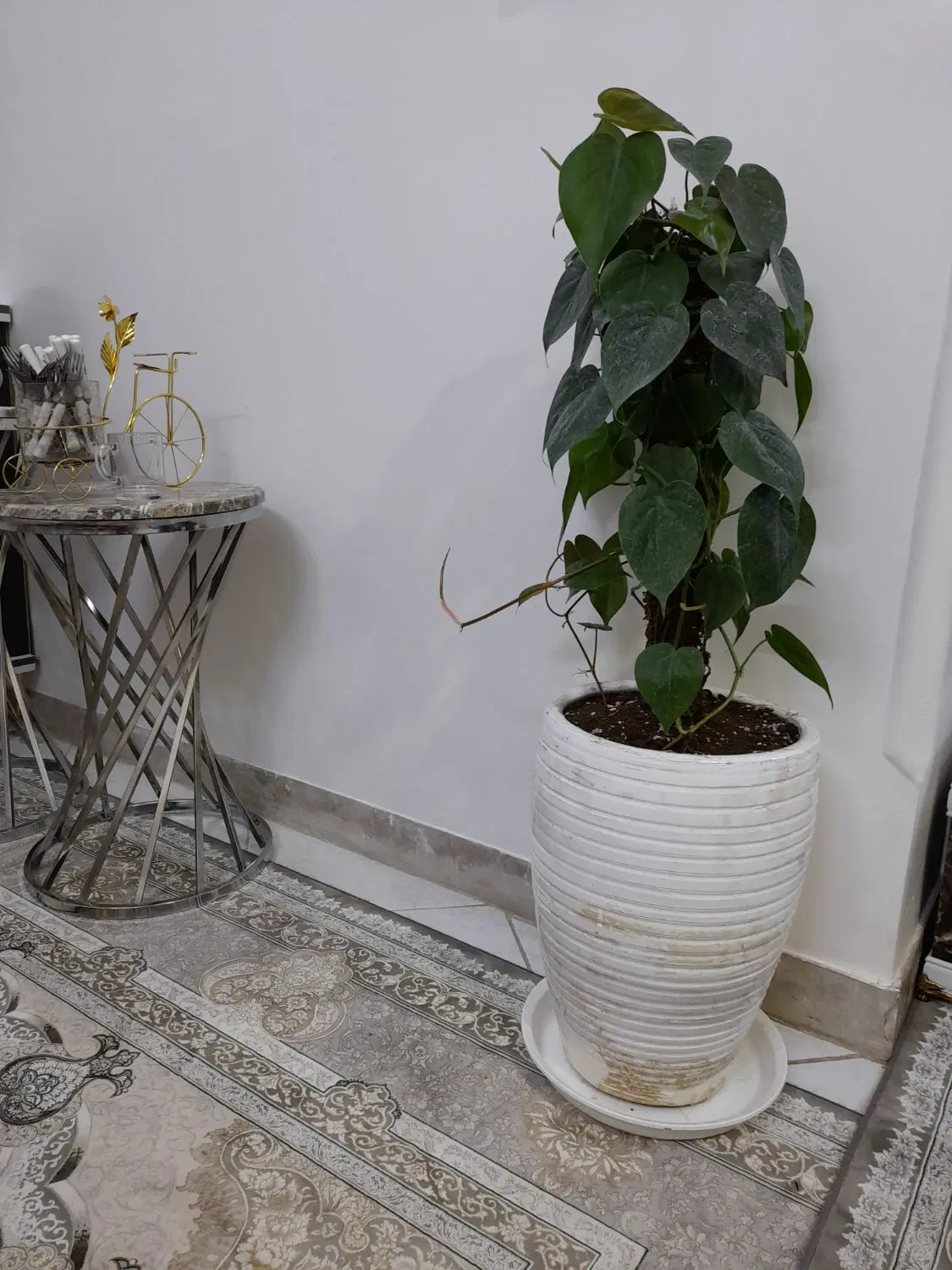 اجاره منزل مسکونی