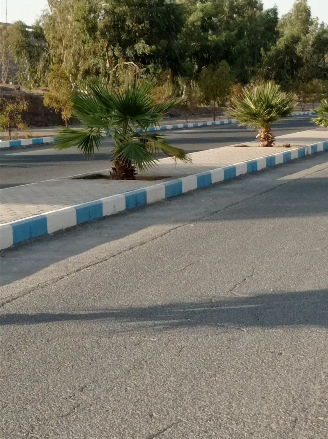زمین مسکونی شهر مشکات