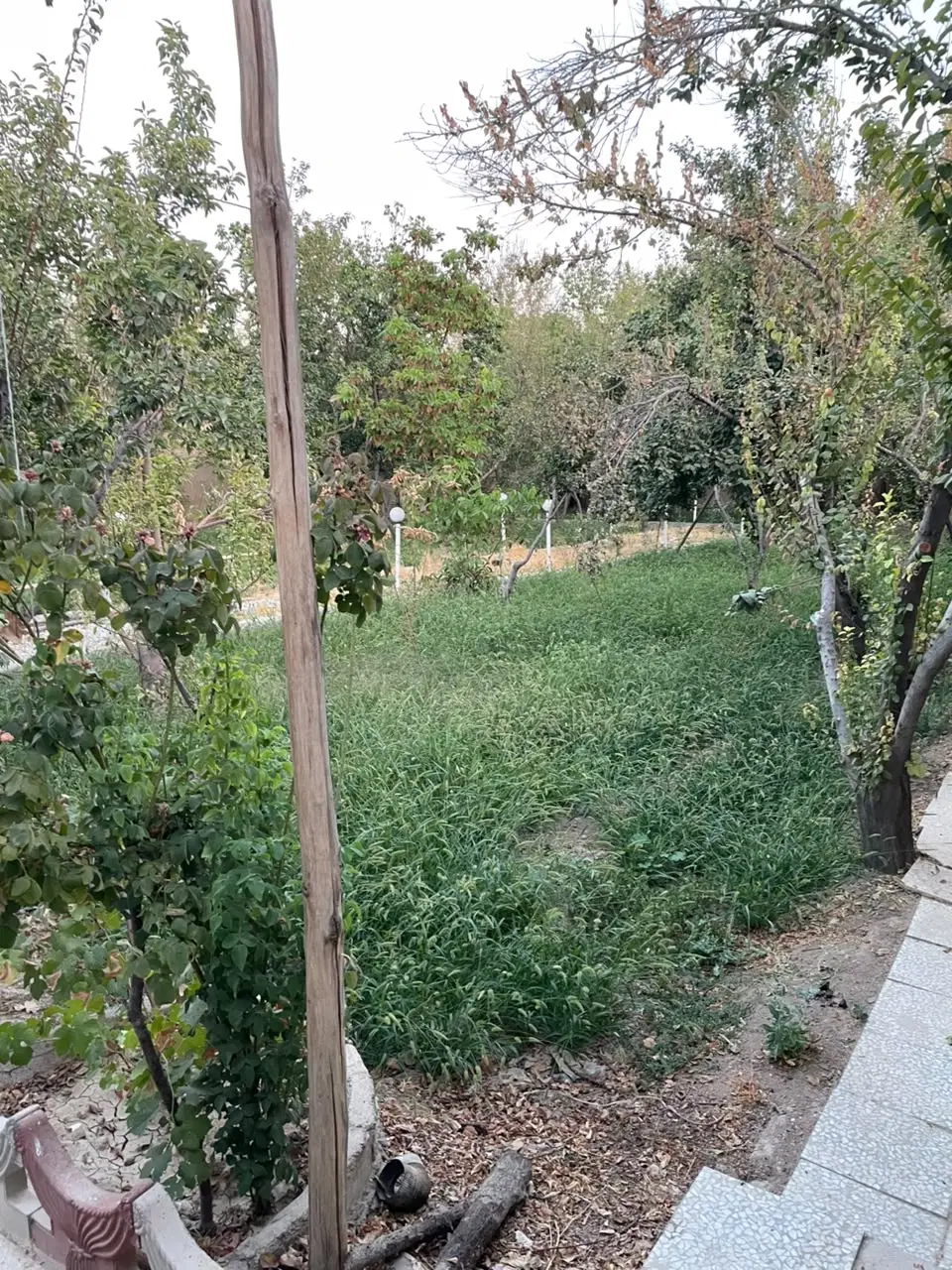 فروش باغ