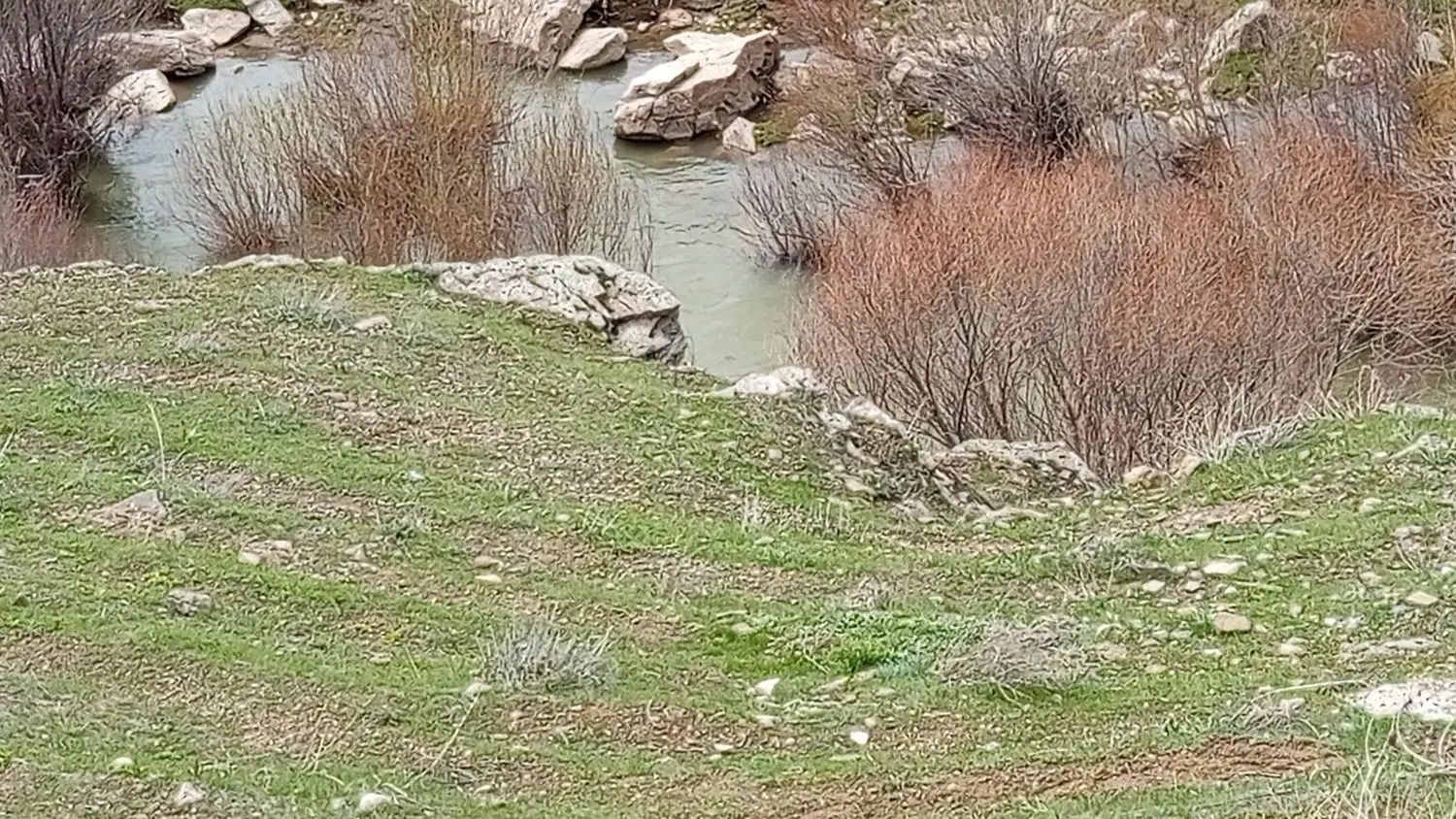 فروش زمین