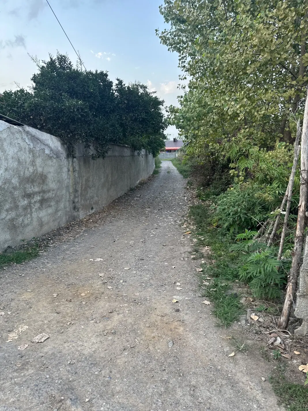 زمین مسکونی سنددار ،جاده فومن