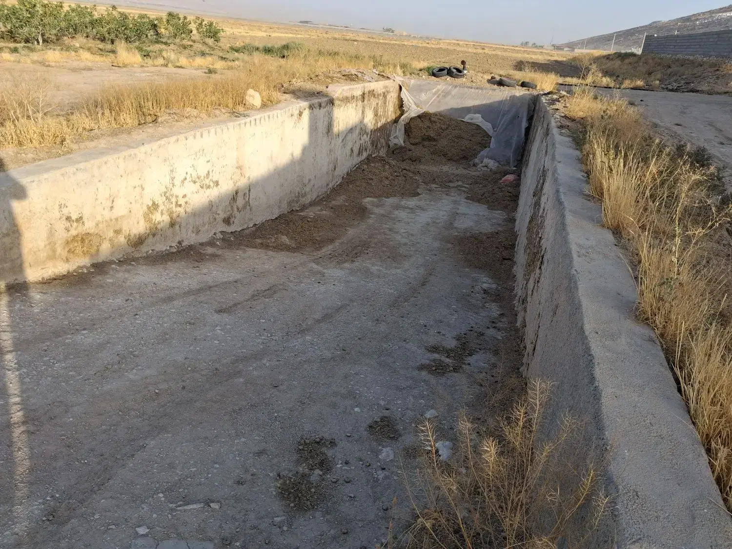 فروش یا تهاتر گاوداری و ۵۳۵ عدد پسته  جمعا ۸۰۰۰متر