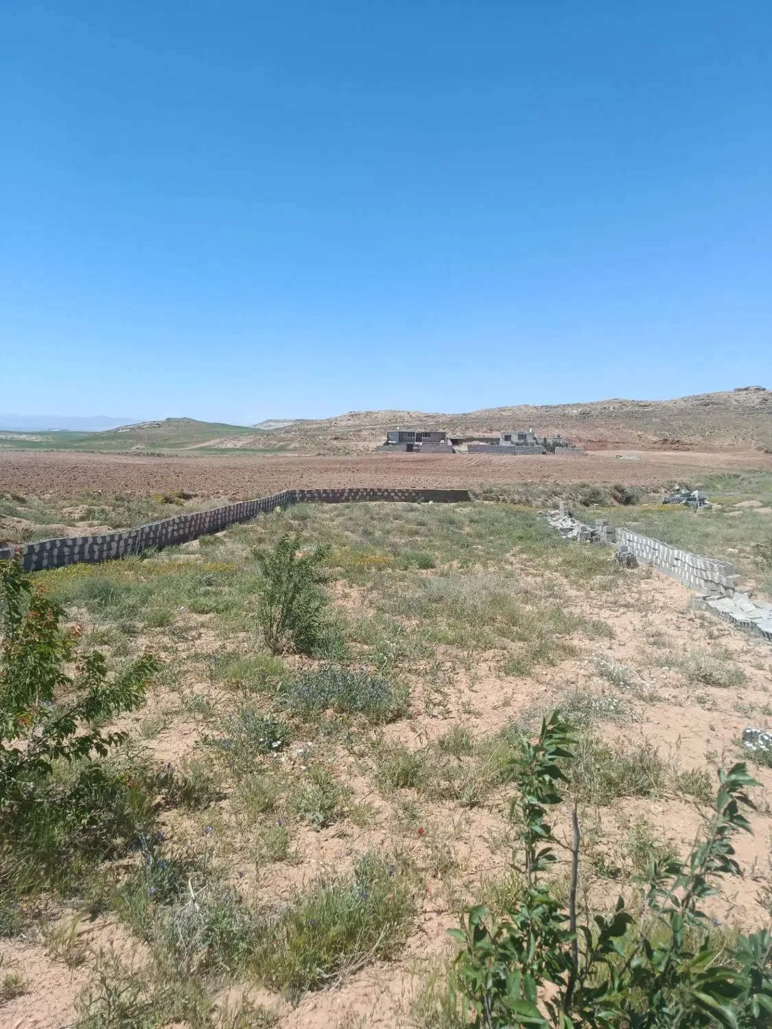 زمین باغ