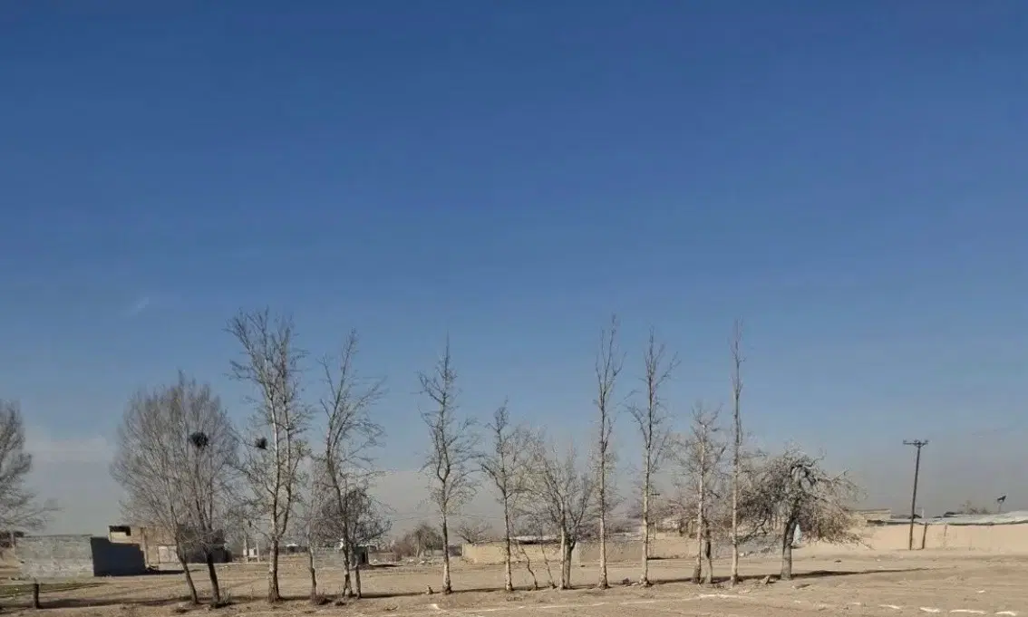 فروش زمین ۱۵۰ متری درملک شهر بهارستان غربی