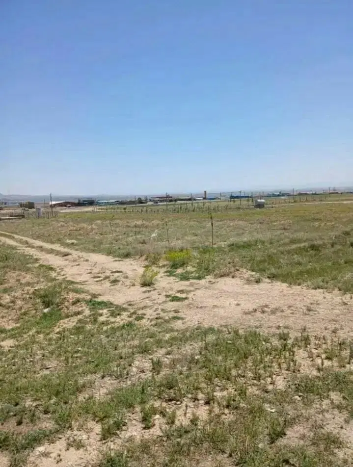 بهترین جا برای سرمایه گذاری