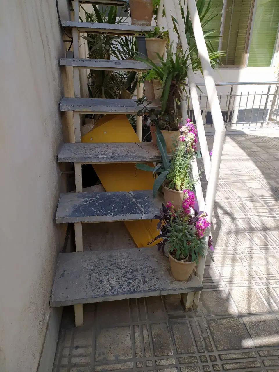 سوییت اجاره