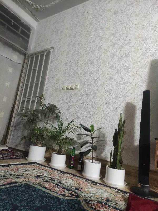 همخونه