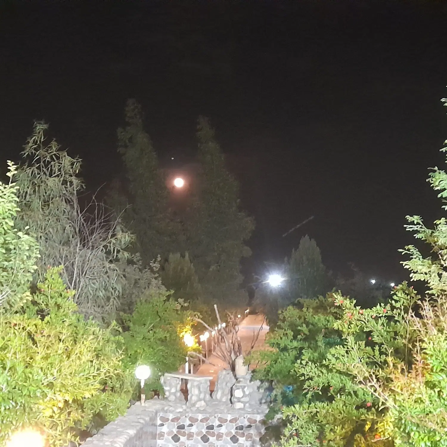 اجاره باغ یا خرید
