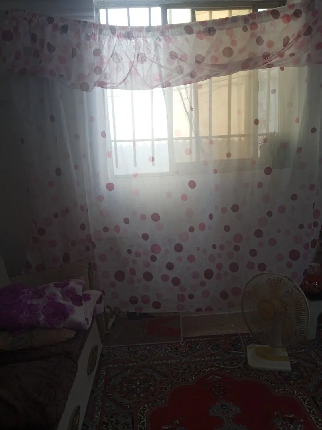 سویت 50متری اجاره روزانه باهنرخیابان فرجام