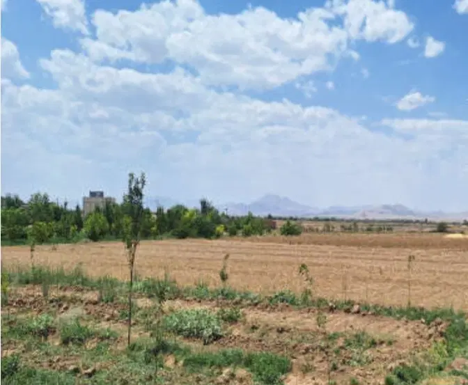 فروش زمین