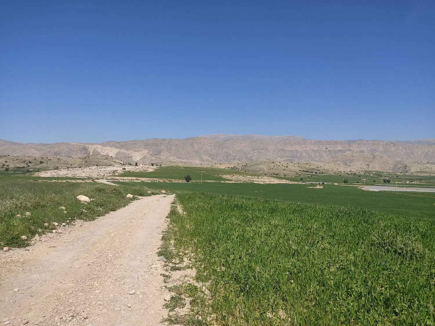 فروش زمین عالیچنگی