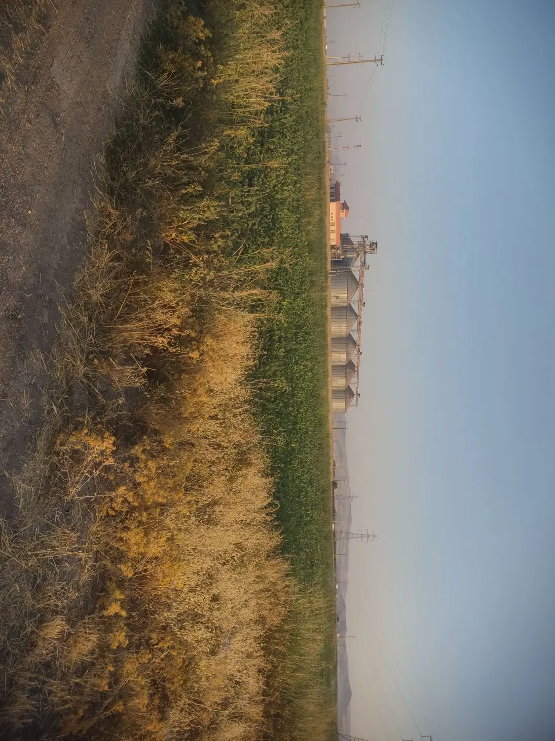 ۳۰۰۰ متر زمین باغی ـ زراعی