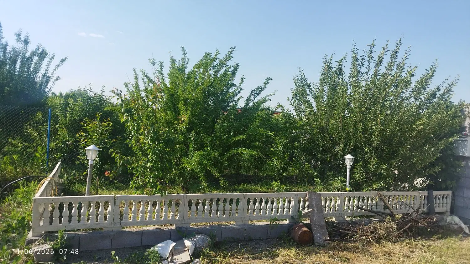 باغچه