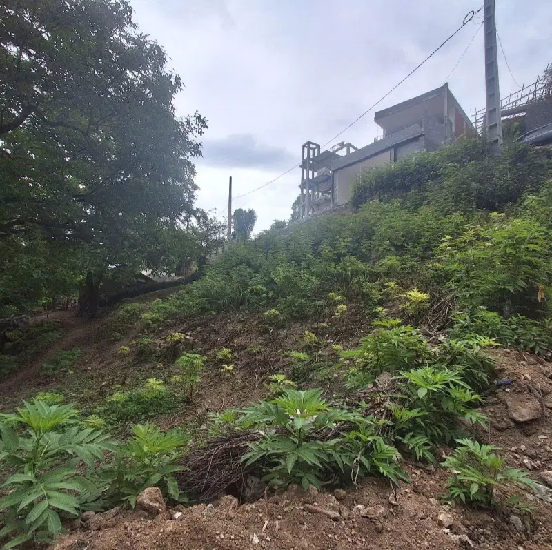 فروش زمین 560متر در مرزن اباد روستای اشکارلت