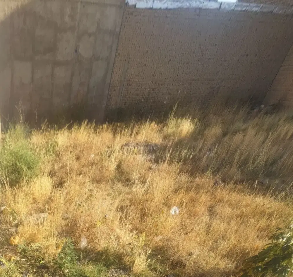 زمین مسکونی